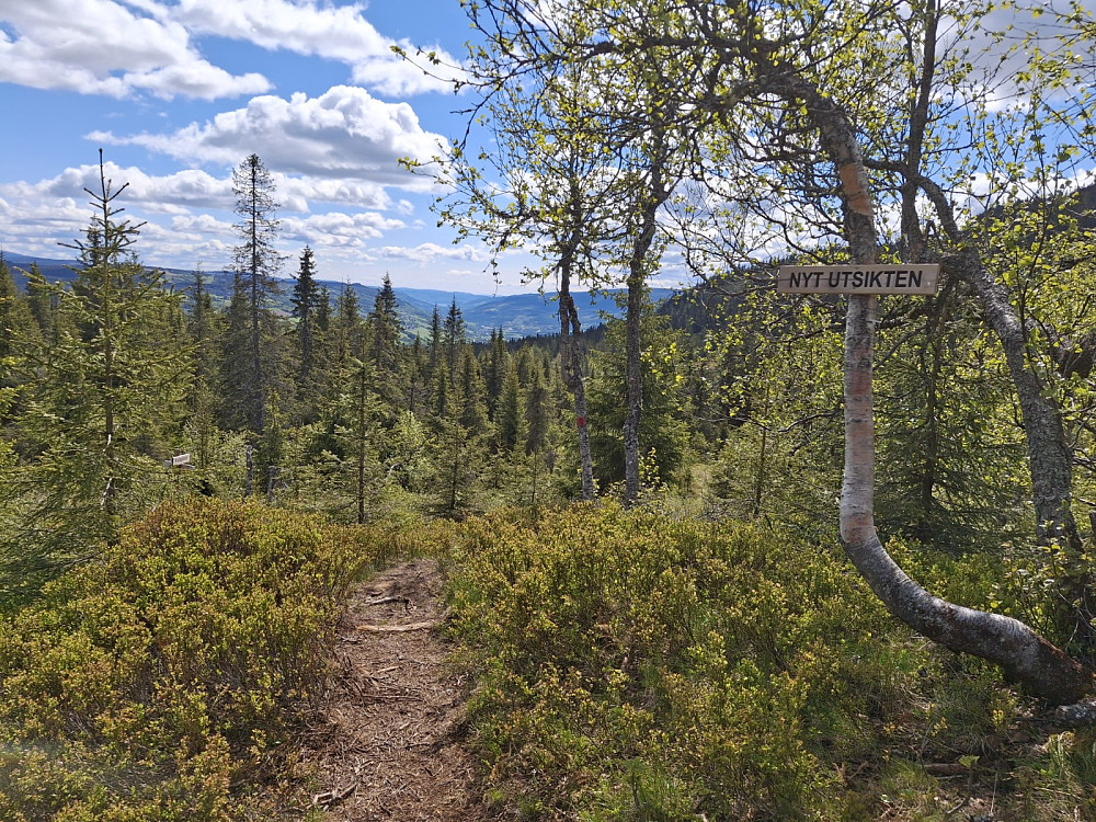 Ved Ulva kvileplass