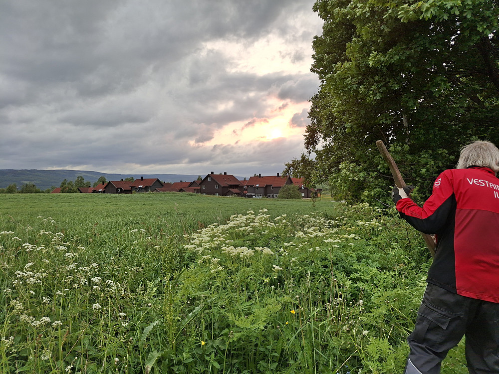 Så kom slåttekarog sol