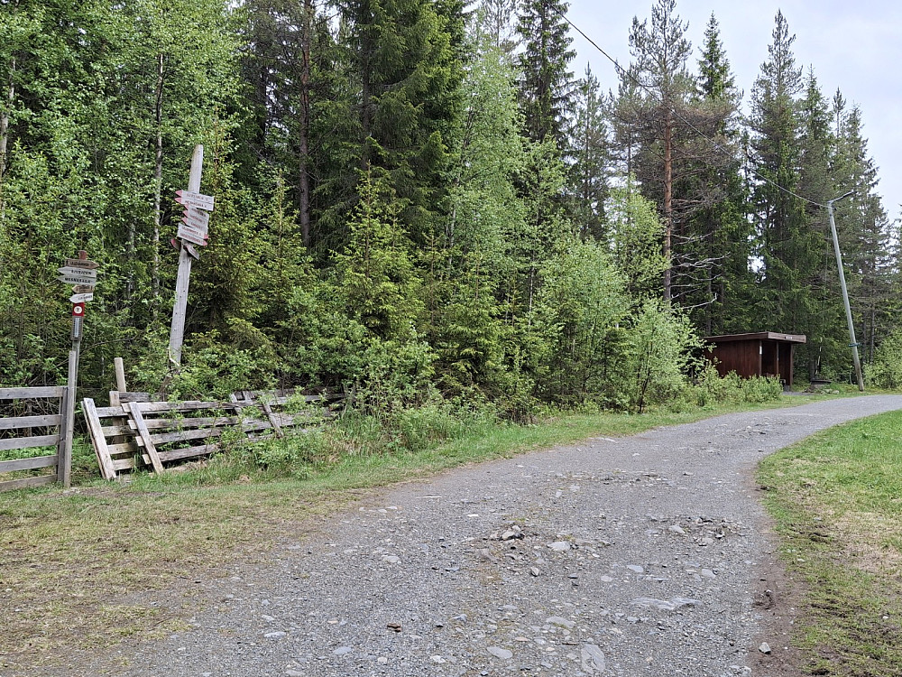 Ved Hammerkoia