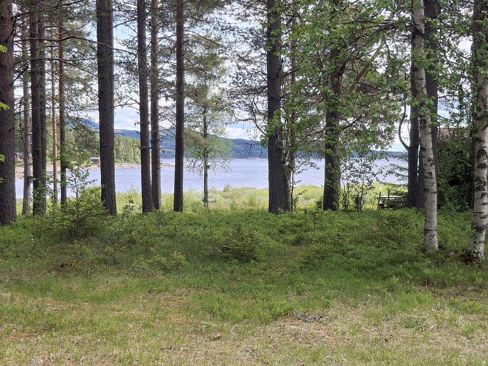 Ved NordMesna