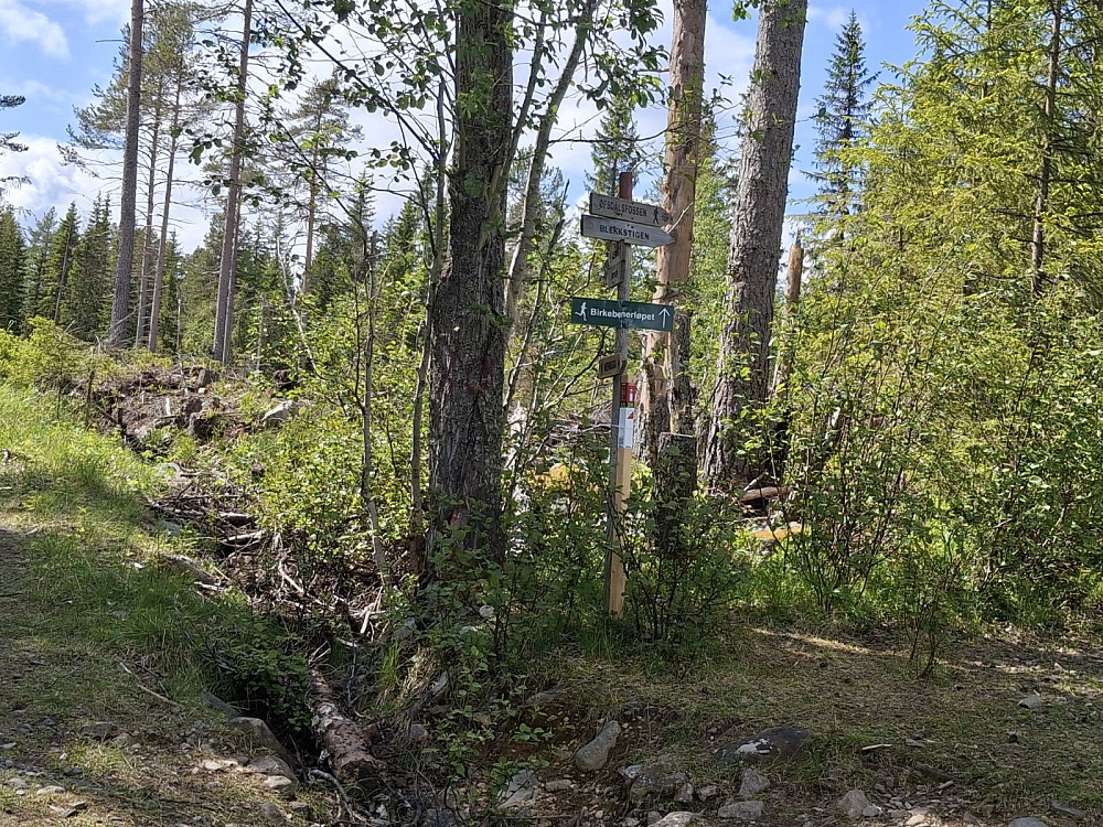 Stolpe der råket mot Øfstdalsfossen tar av