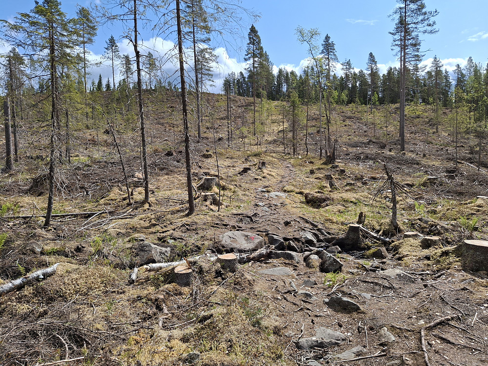 Langs råket om Mesnhaugen