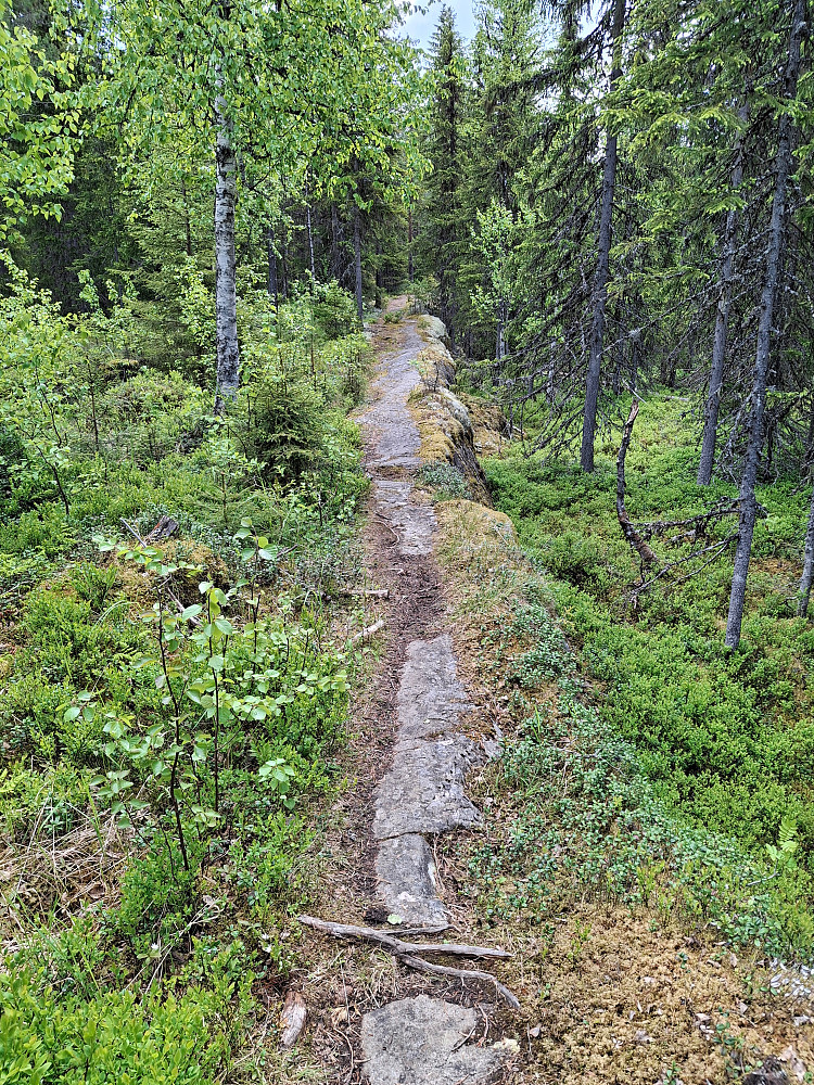 Langs råket om Mesnhaugen