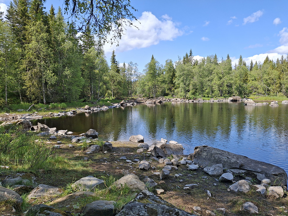 Ved Mesnasaga, her har jeg tatt mange bilder på skitur