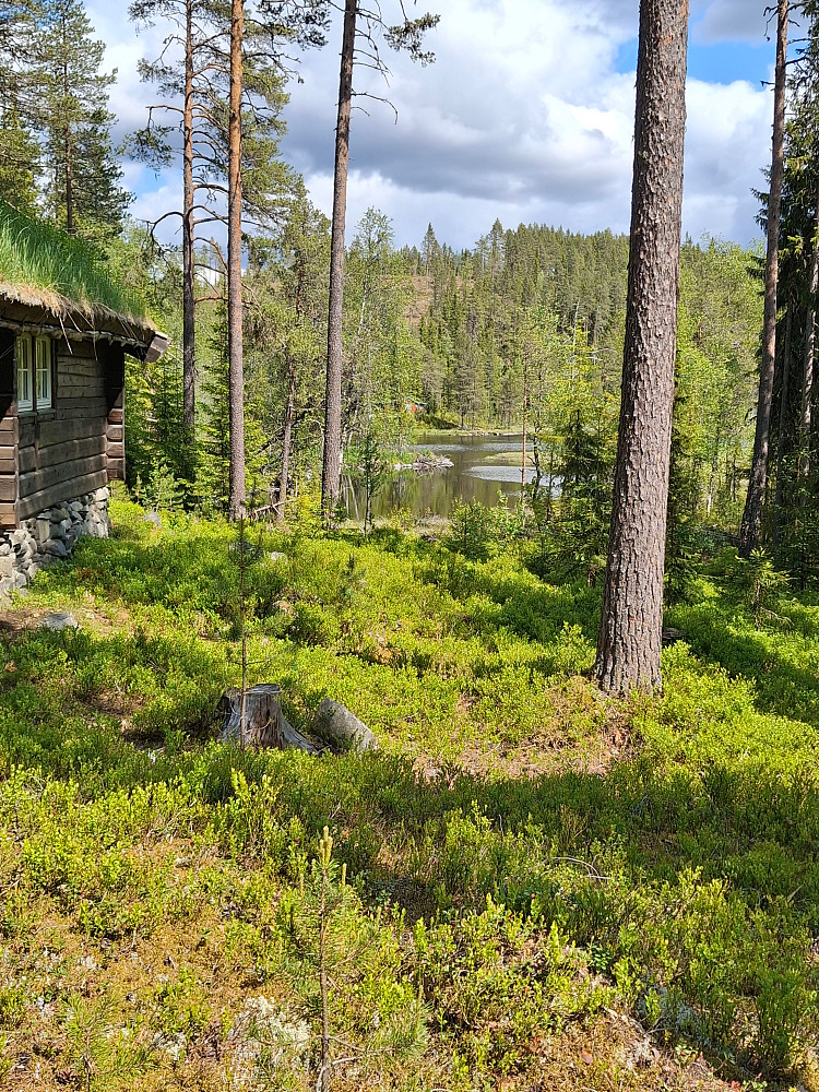 Ved Dompenhytta, over Mesnaelva mot Mesnhaugen