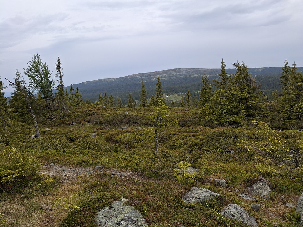 På Grøtåshaugen, mot Grøtåssetrene og Nevelfjell