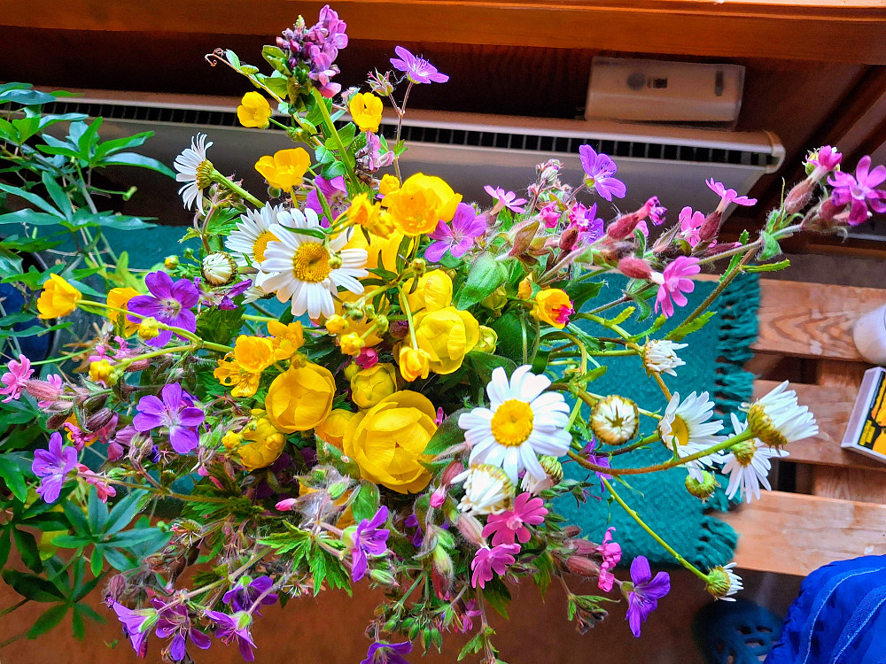 Fint med villblomster