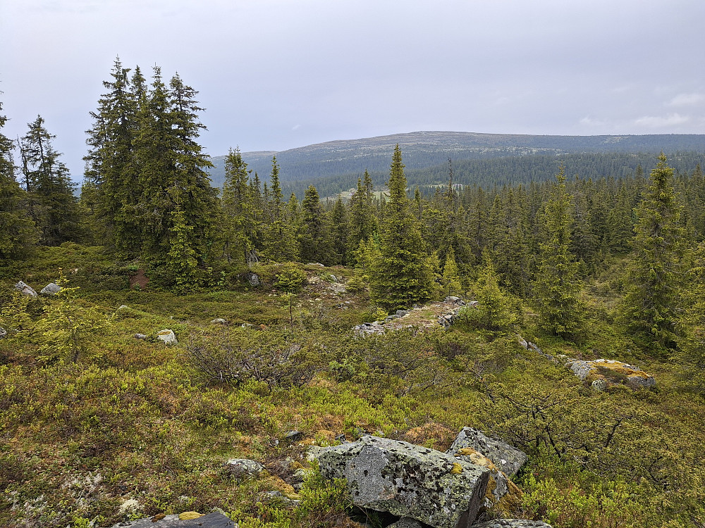 På Grøtåshaugen, rester av den gamle hoppbakken og Nevelfjell