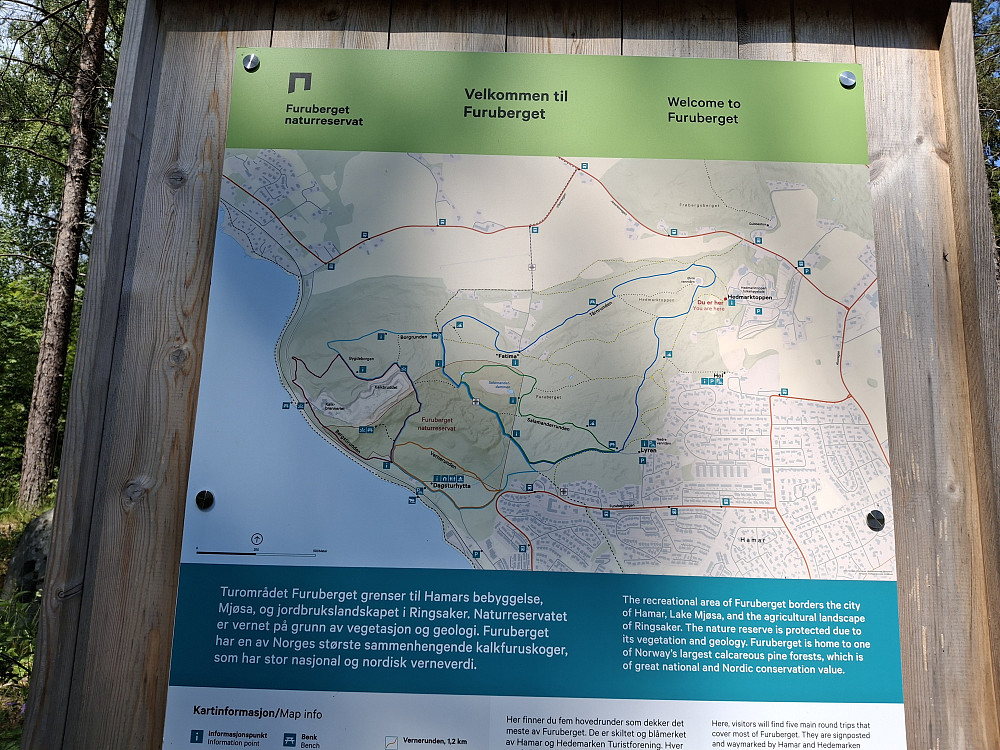 INFO på Hedmarkstoppen