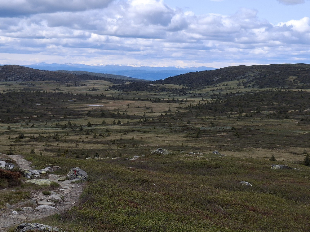 På Kriksfjell