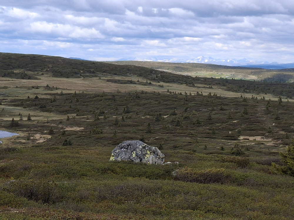 På Kriksfjell