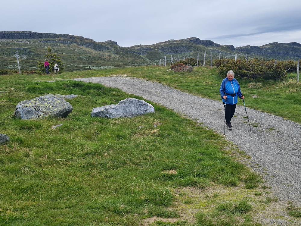 Tilbake til Gammeldalssetra