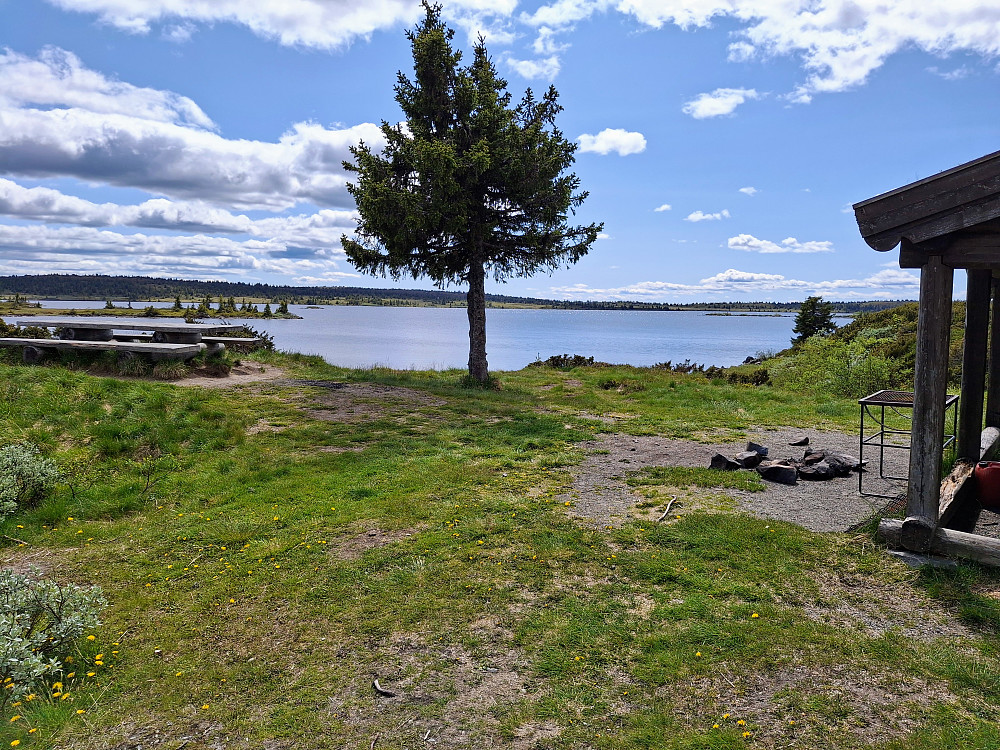 Ved gapahuken i Kriksvika