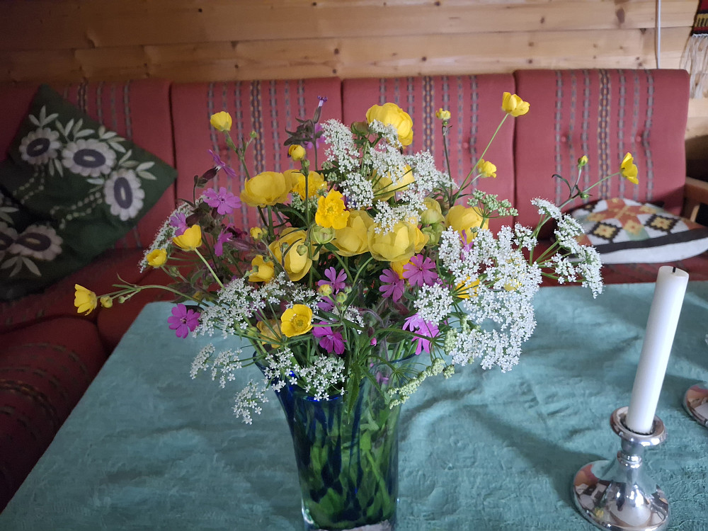 Plukket igjen villblomster