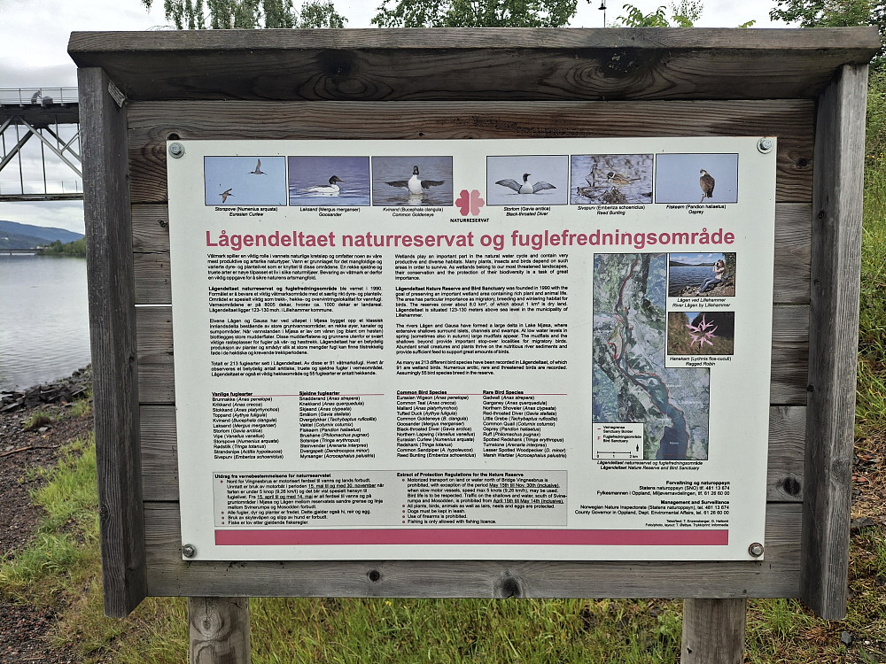 INFO om Lågendeltaet