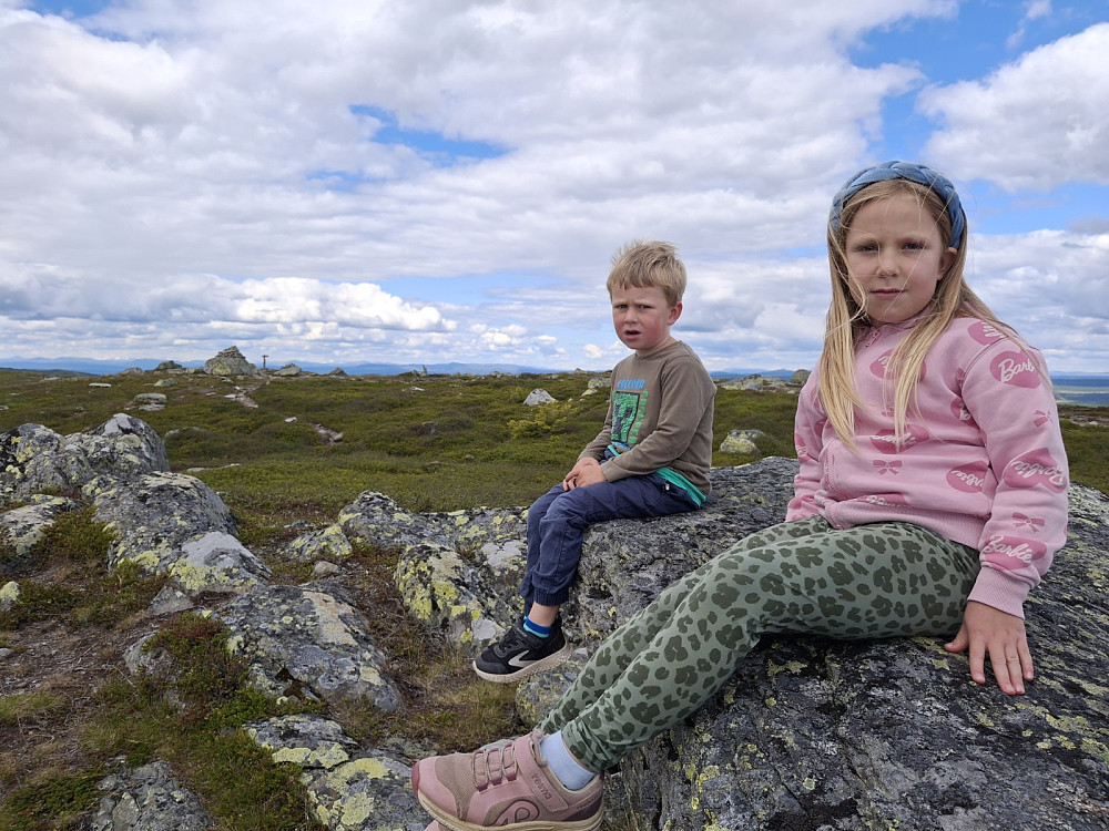 På Reinsfjell