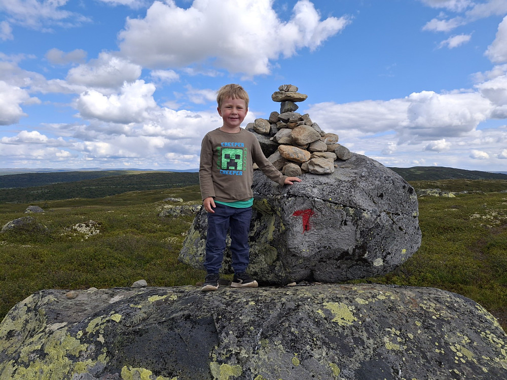 Kommet opp på platået