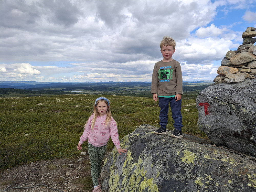 På platået