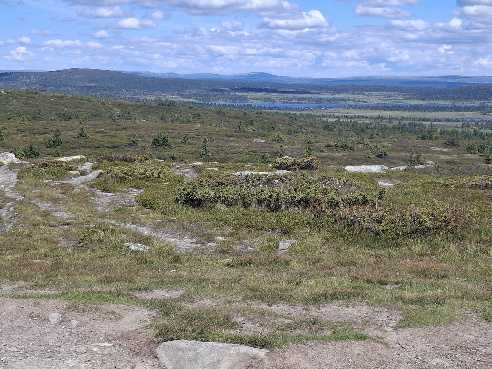 På Lunkefjell, mot Lyngkampen
