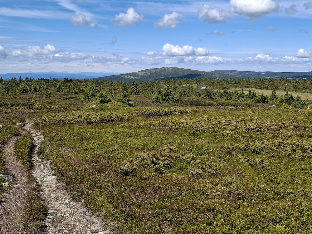 På Lunkefjell vest