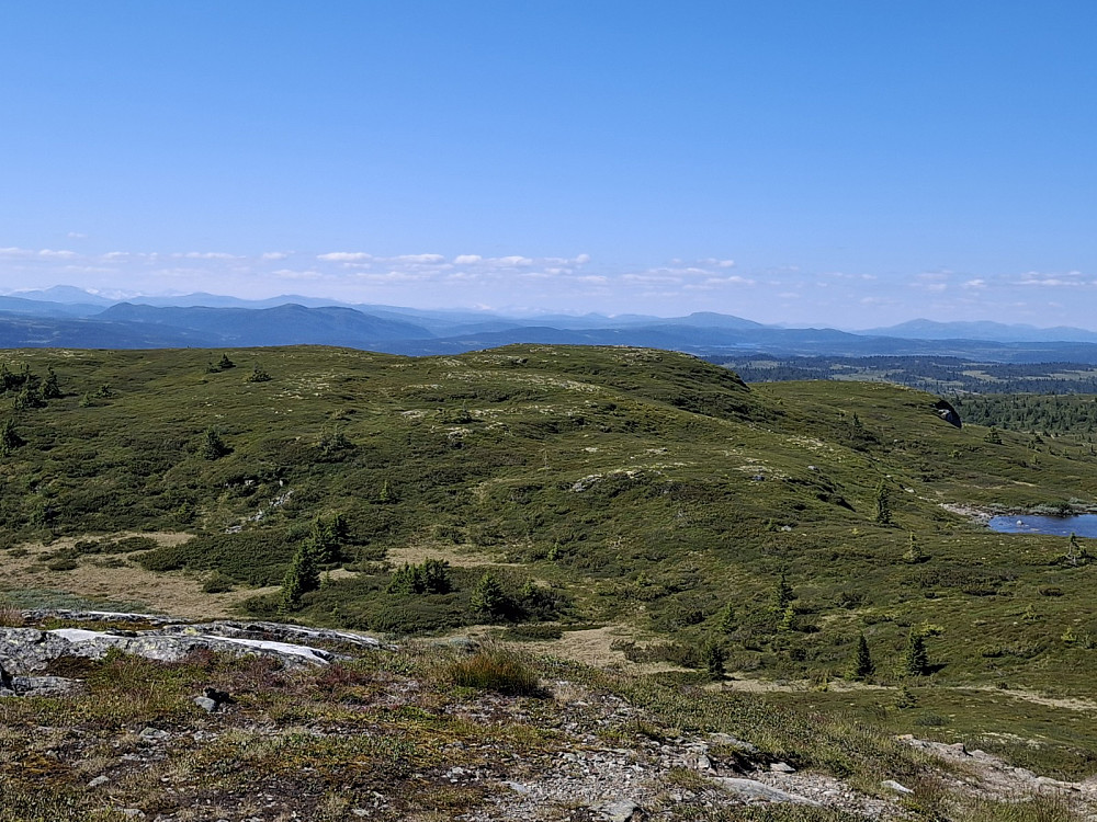 På Gammelhans