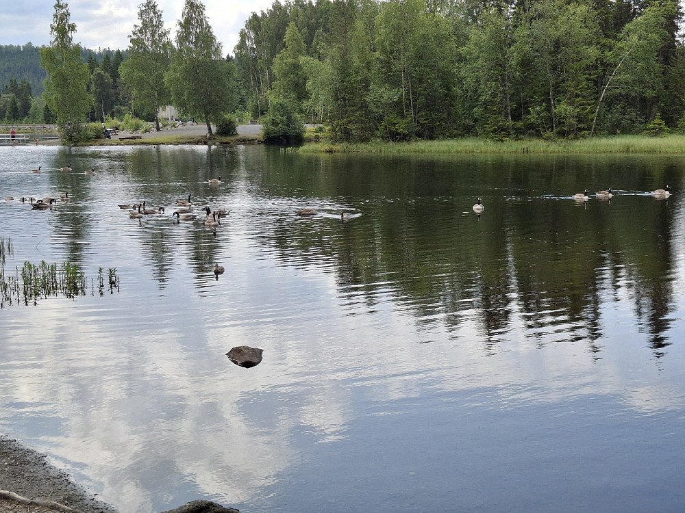 Ved Krokbua