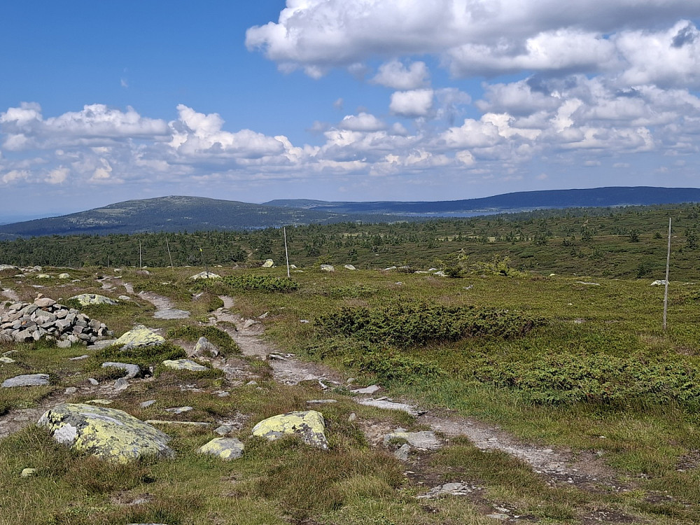 På Lunkefjell