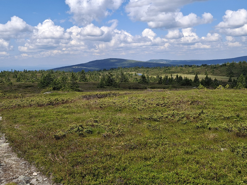 På Lunkefjell vest