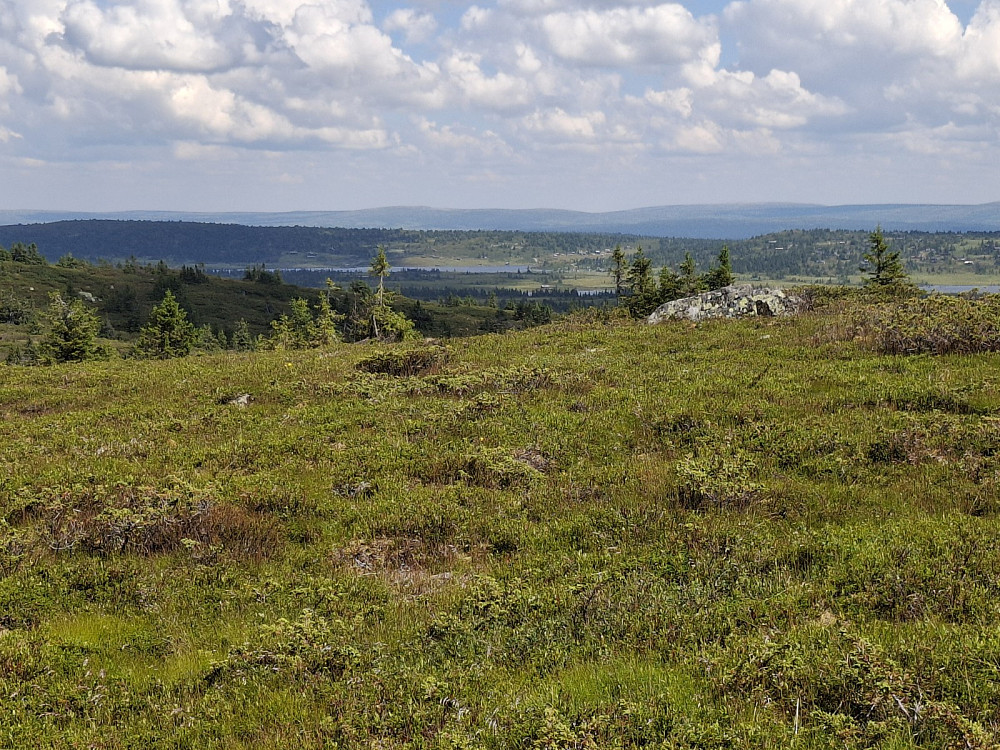 På Lunkefjell vest