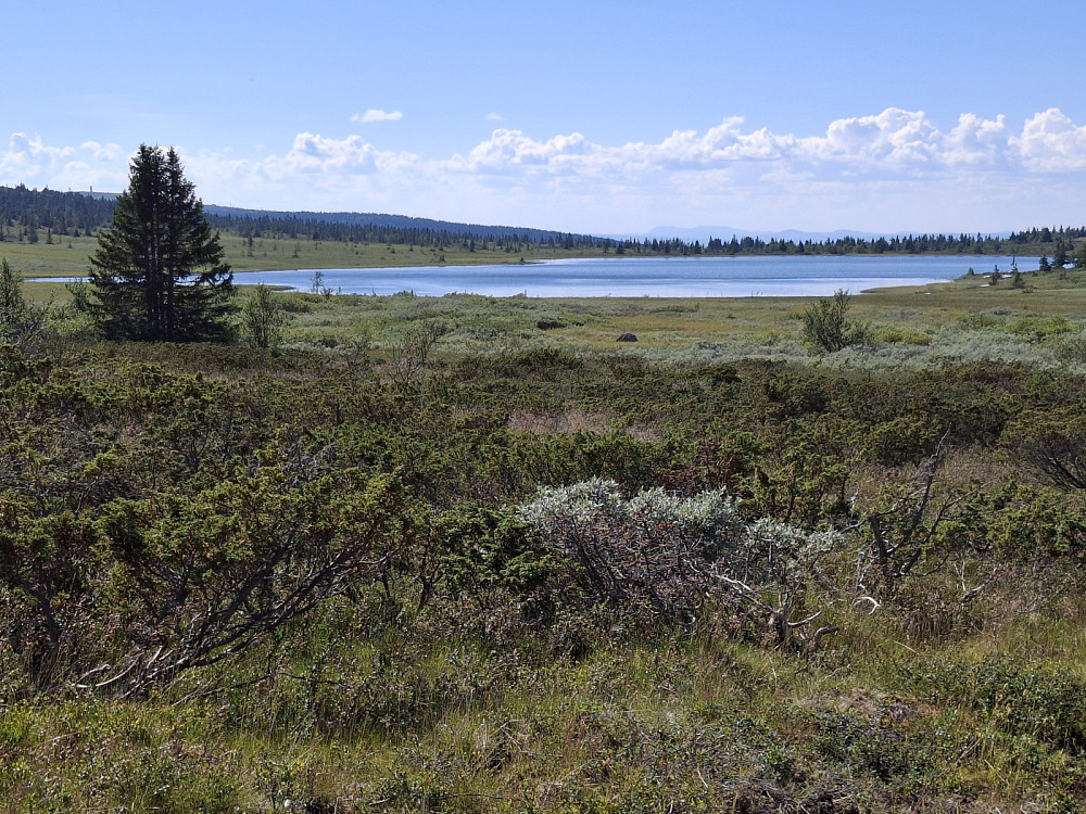 Øvre Moksjøen