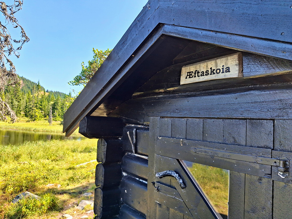 Æftaskoia