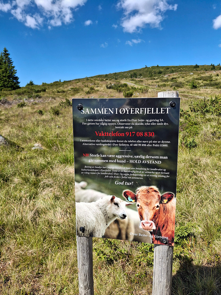 Orienting om å møte husdyr i Øyerfjellet