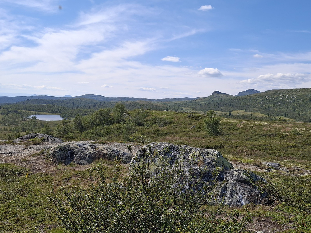 På Veslefjell