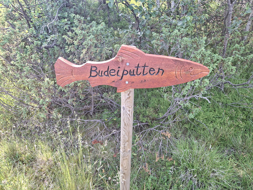 Morsomt skilt