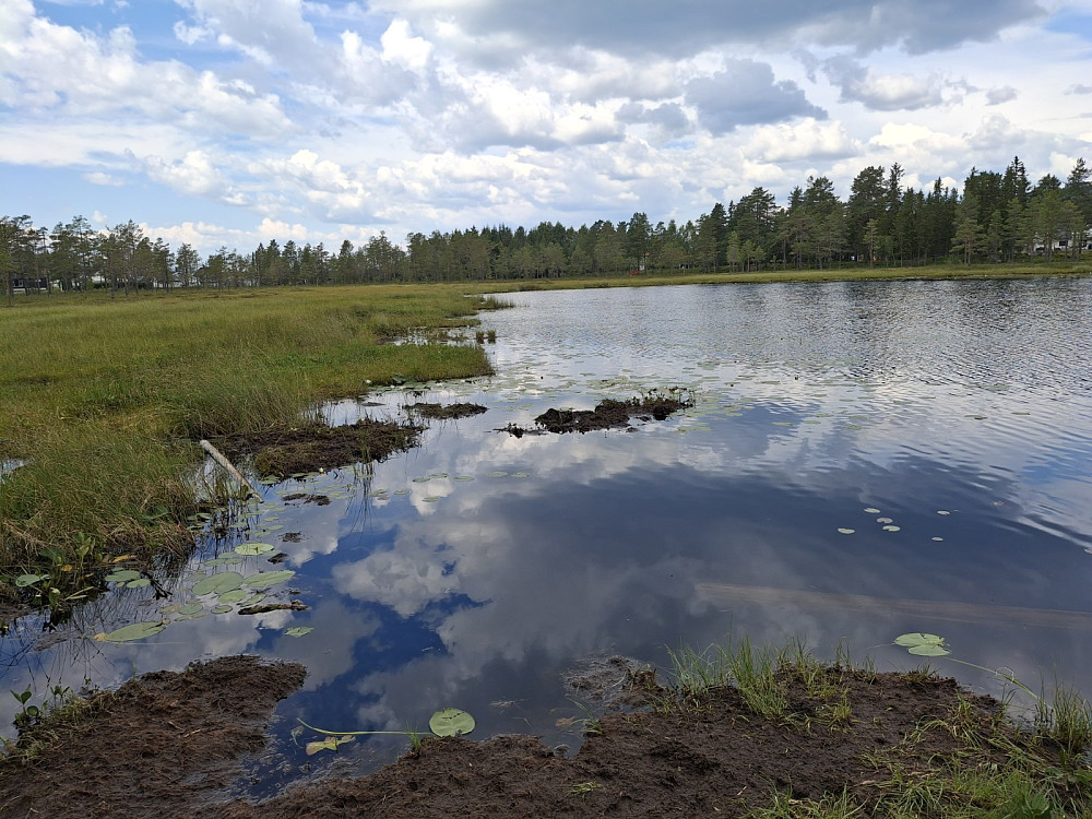 Ved Røyslitjern