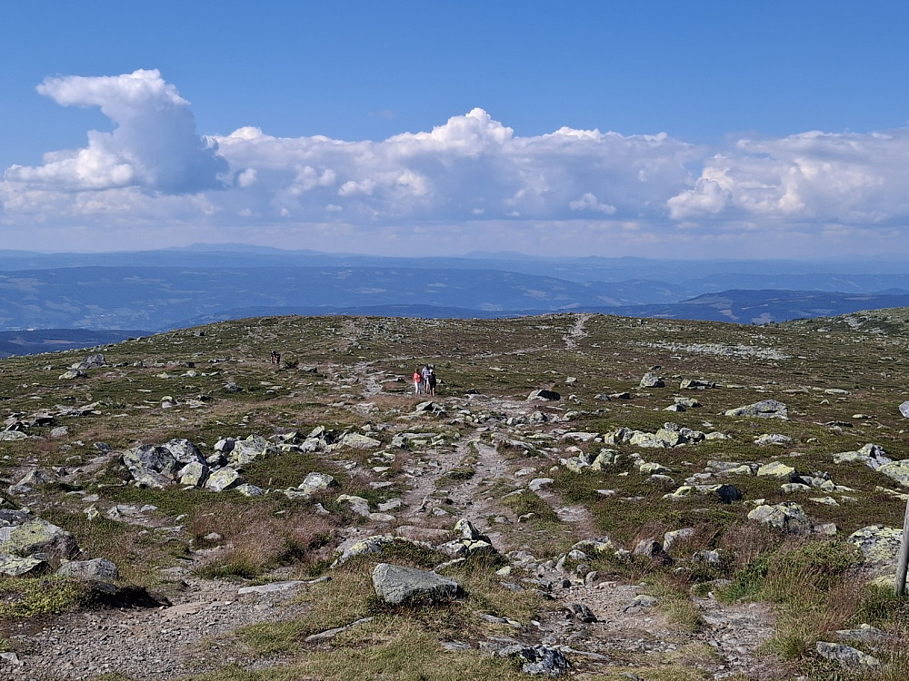 På Nevelfjell