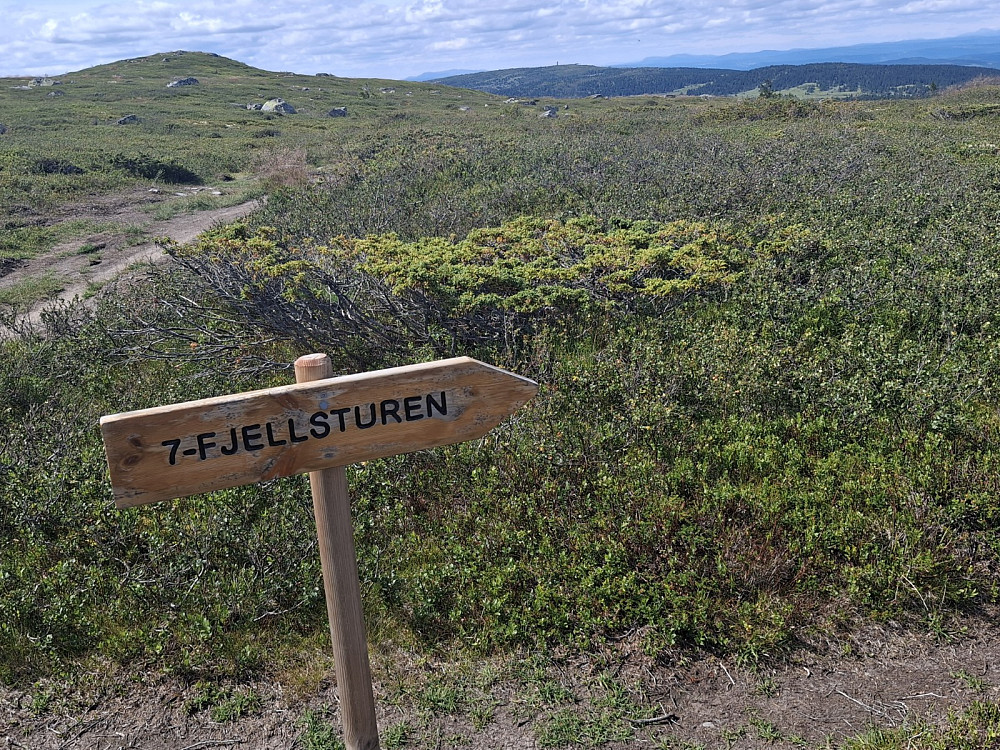 Tar av mot Veslefjell her