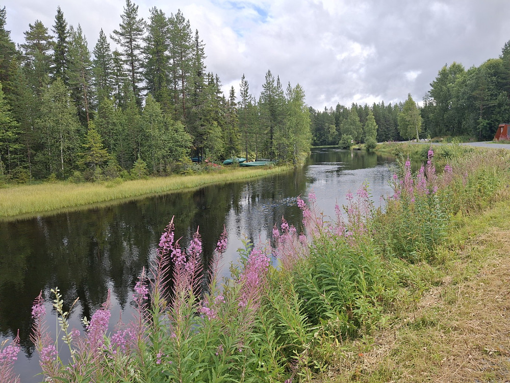 Ved Kanalen