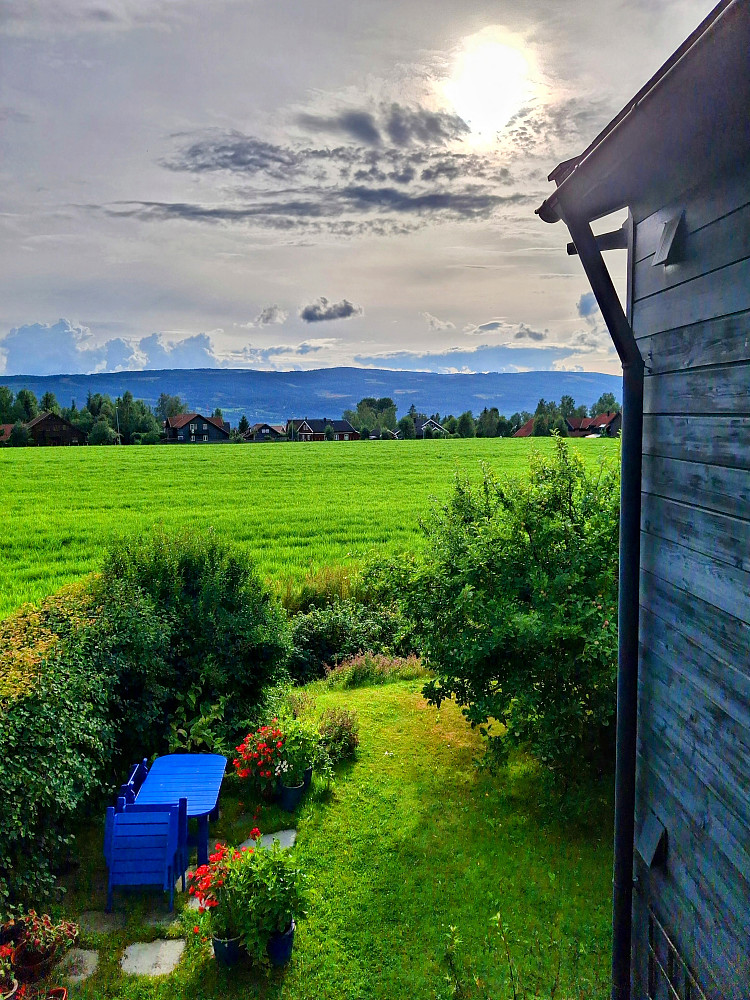 Kveldssol i Blestervegen