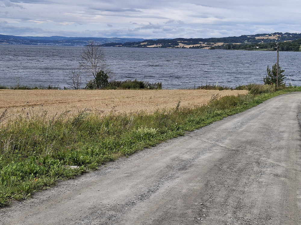 Ser tilbake på Mjøsa