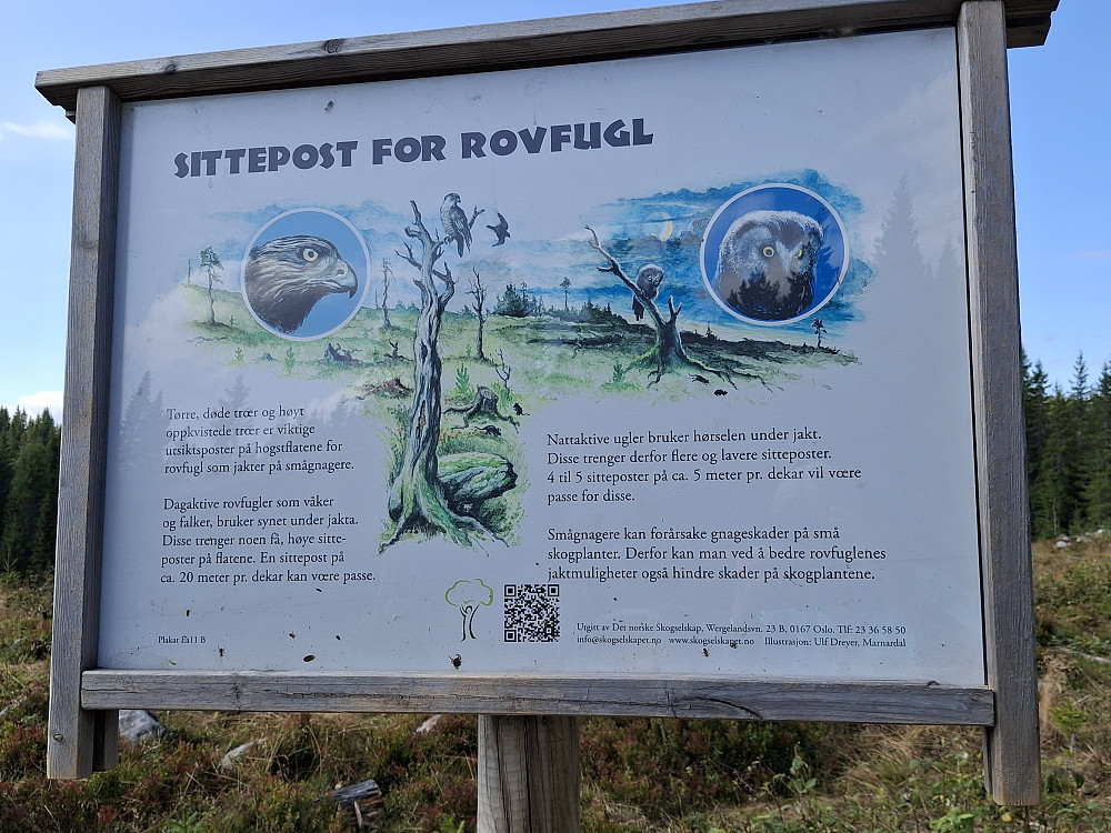 INFO skilt langs råket