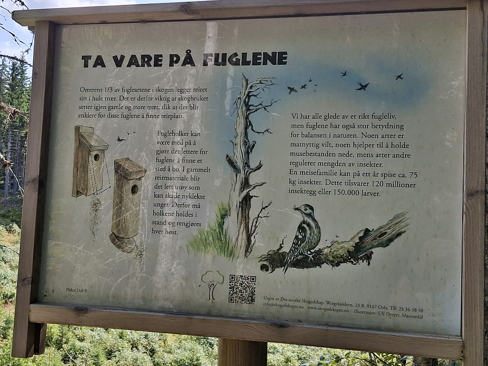 INFO skilt langs råket