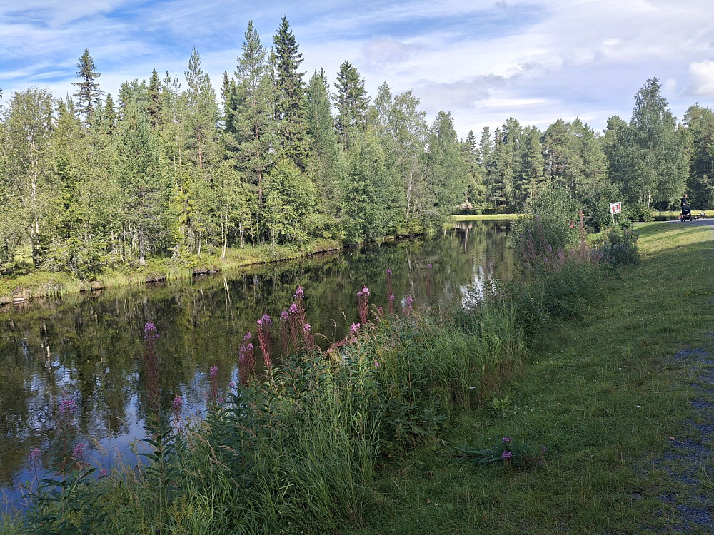 Ved Kanalen