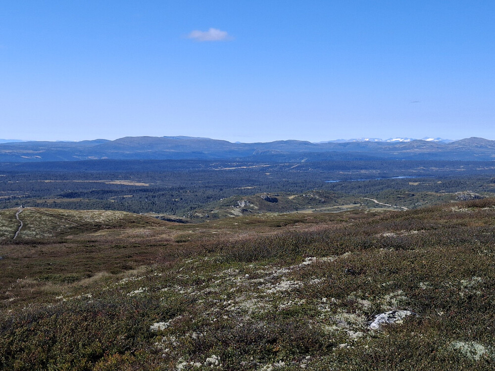 På Vestre Slagsfjellet