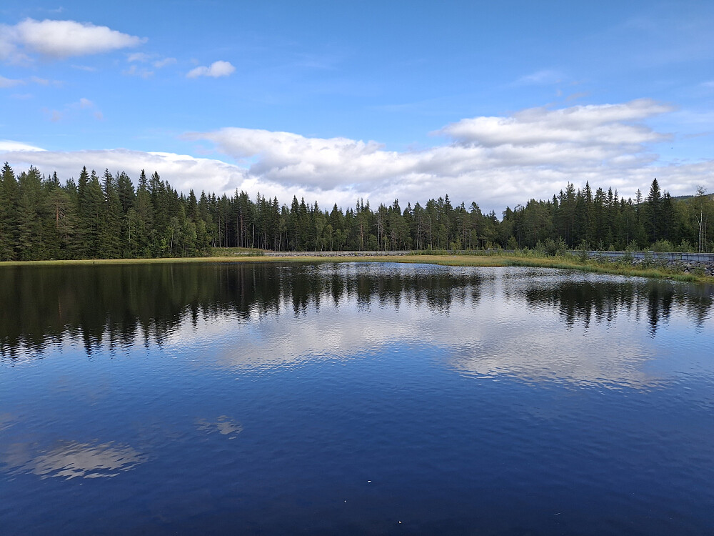 Krokflø