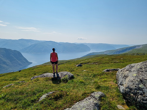Fin utsikt over Sognefjorden frå toppen av Langefjellet