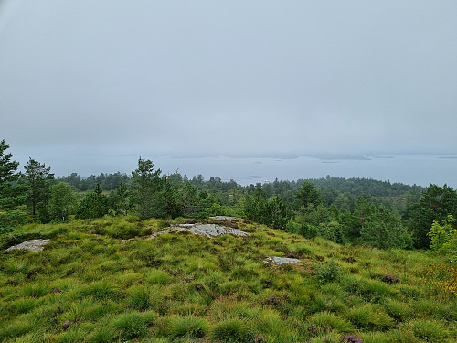 Utsikt frå toppen