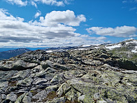reikri_20210801_6106dc2de0507.jpg