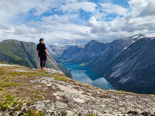Grønn Kjøsnesfjord