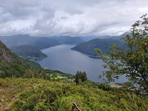 Førdefjorden